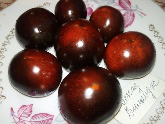 Каскад Виллидж синий